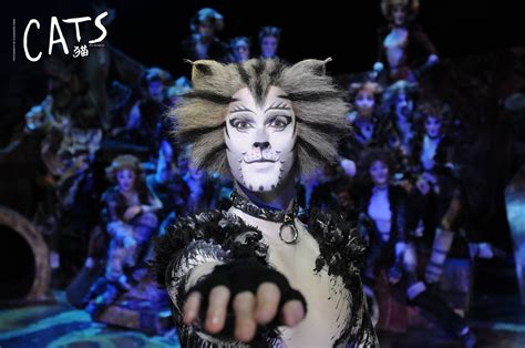 Buy Cats the Musical Stage Tickets Beijing