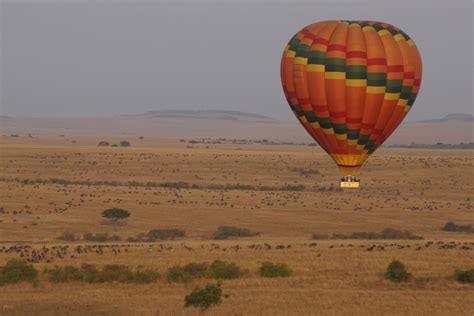Balloon safaris in the serengeti