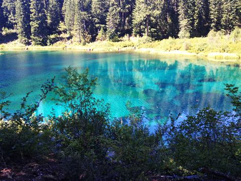 Cold Water Cove Campground, Clear Lake - McKenzie River