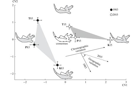 Results of canonical analysis of Procrustes coordinates characterizing ...