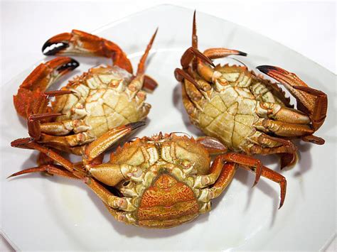 Why Some Recipes Call for She-Crabs