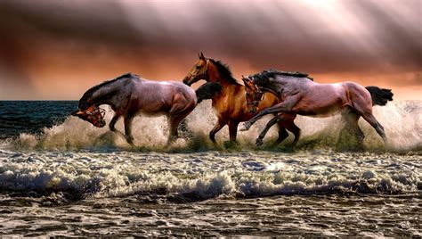 Galloping Horse Wallpaper Hd ~ Mane Hooves Galloping | Bodegawasuon