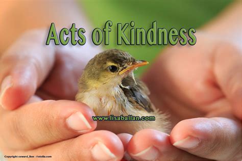 Acts of Kindness – Lisa Ballan