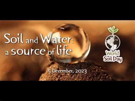 World Soil Day 2023 | Theme: Soil and water, a source of life | World ...