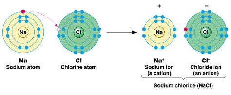 Why cannot sodium chloride be purified by crystallization? - Quora