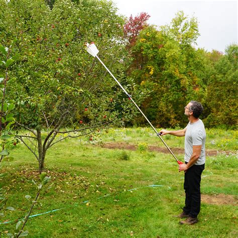 Fruit Picker Tool | Telescoping Fruit Picker by Garrett Wade