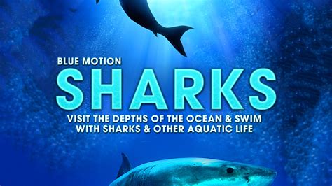 Watch Sharks: Visit the Depths of the Ocean and Swim with Sharks and Other Aquatic Life (Blue ...