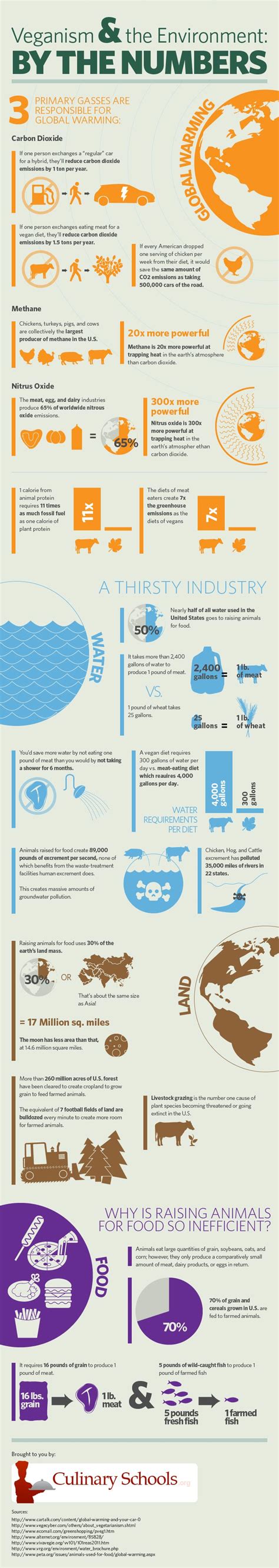 Veganism and the Environment Infographic Shows the Environmental Impact ...