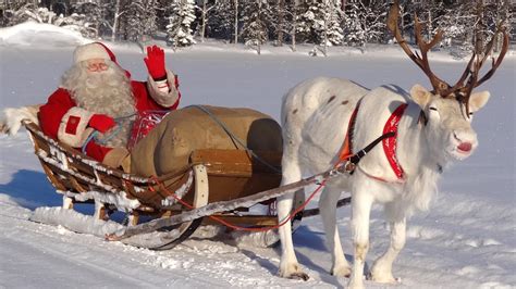 Reindeer of Santa Claus 🦌🎅children learning secrets of superlichens making reindeer to fly ...