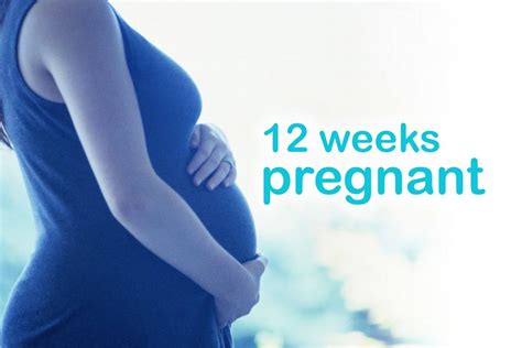 12 Weeks Pregnant, Pregnancy Stages, First Trimester