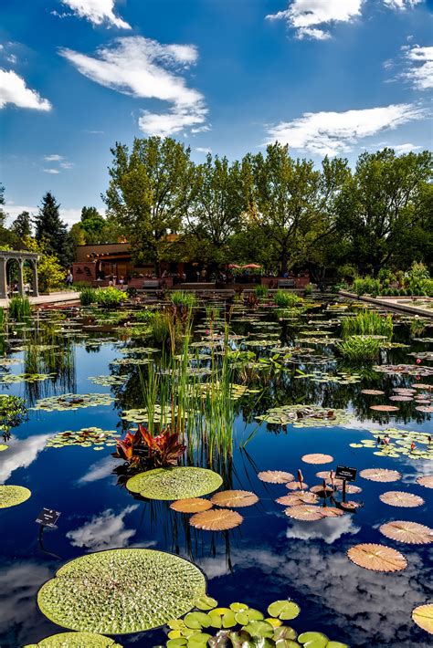 Botanic Gardens in Denver, Colorado image - Free stock photo - Public Domain photo - CC0 Images