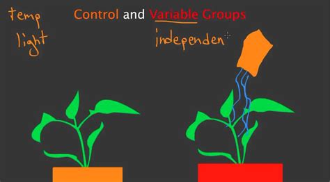 Control and Variable Groups - YouTube