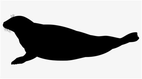 Photography - Seal Silhouette Vector, HD Png Download - kindpng