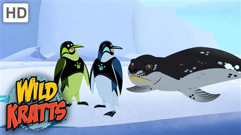 Wild Kratts | AMAZING Penguin Power Suits| Animals - YouTube