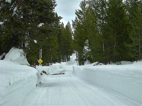 Yellowstone Region: Island Park and Mesa Falls, Idaho | Island park ...