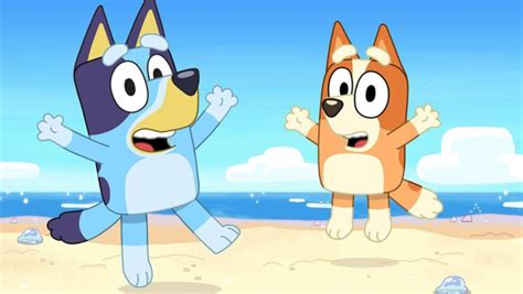 Why Australian cartoon Bluey in pawfect for kids’ TV | The West Australian