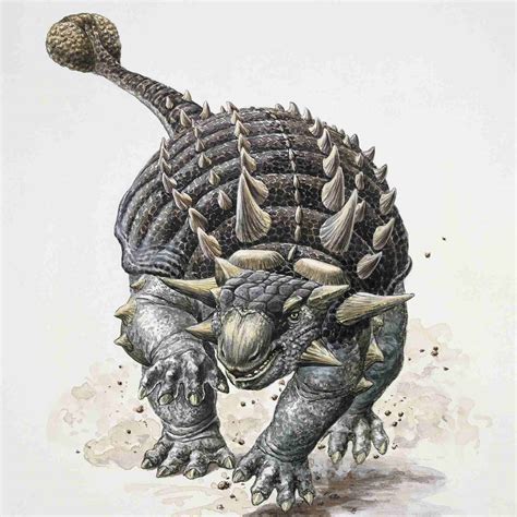 Facts About Ankylosaurus, the Armored Dinosaur