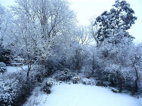 Snowy back garden | Rather more snow overnight than we expec… | Flickr