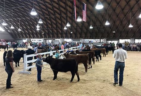 Mississippi State Fair Livestock Show Is Coming - Kicks96news.com ...