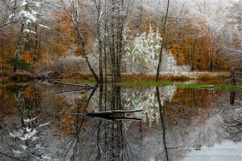 Nature Photography Magical Woodland Autumn Tree - Etsy.de