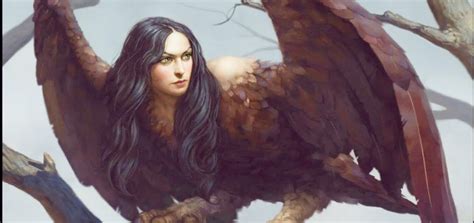 12 Half-Bird Half-Human/Humanoid Legends Of Mythology | Pagista