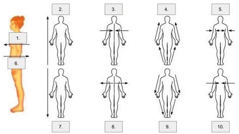 5. Anatomical Directions (Test 1) Diagram | Quizlet