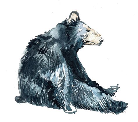 Sad Bear Drawing at PaintingValley.com | Explore collection of Sad Bear ...