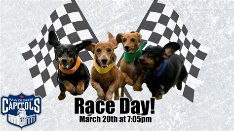 Wiener Dog Races - March 20, 2020