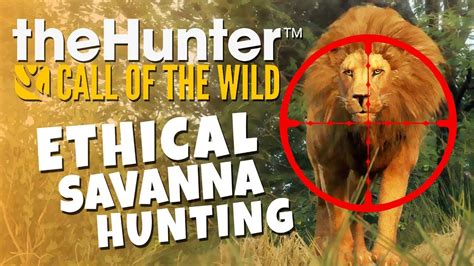 Ethical Savanna Hunting - Lion King - TheHunter Call of the Wild - YouTube