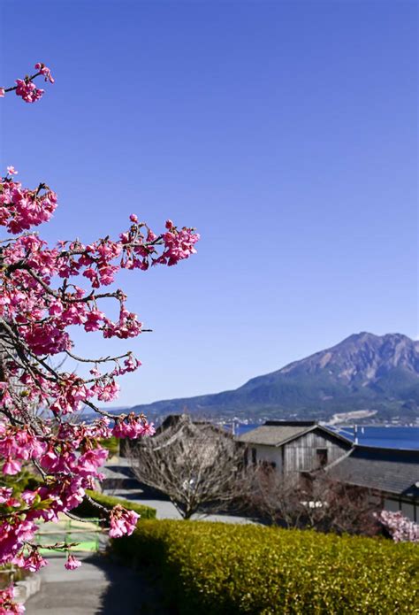 Kagoshima City | Kagoshima | Kyushu | Destinations | Travel Japan ...