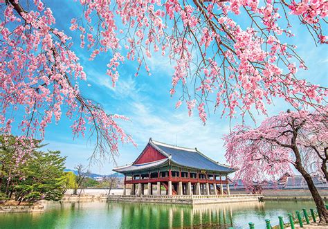 Why South Korea is Asia’s undiscovered gem you need to visit | Vacations & Travel