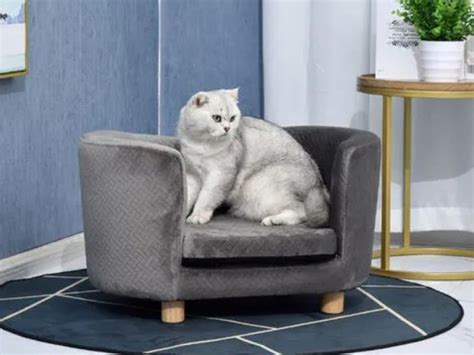 Aldi launches an egg chair just for cats | Best Buys