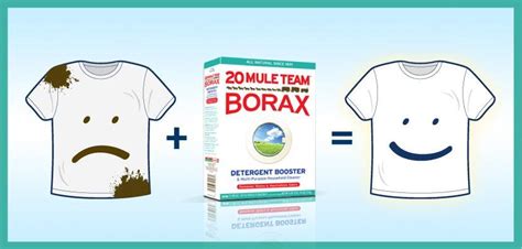 Being Frugal and Making It Work: Borax Fresh Year, Fresher Laundry Sweepstakes - Win 1 of 172 ...