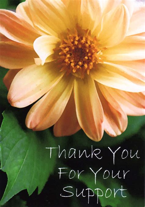 Thank You For Your Support Greeting Card