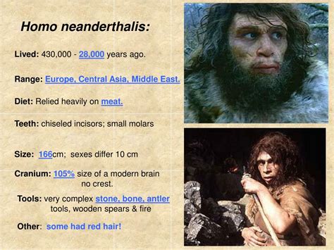 PPT - The ancestors of Homo sapiens sapiens Part 2 PowerPoint ...