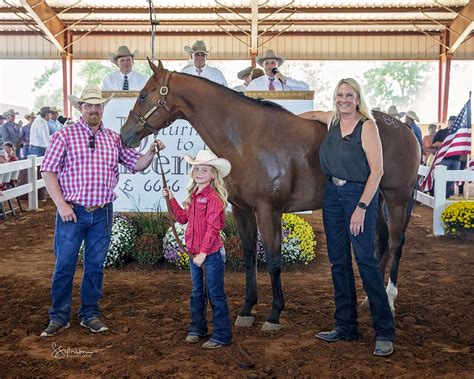 Return to the Remuda sets record for highest ranch gelding sold at ...