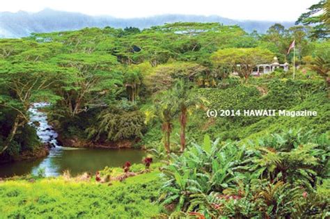 Visiting Kauai’s Hidden Hindu Monastery - Hawaii Magazine