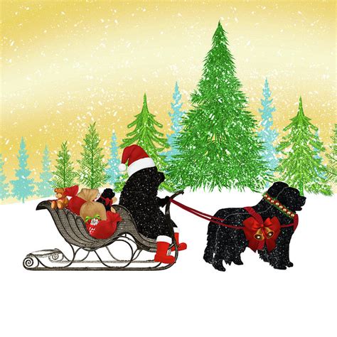 Newfoundland Dog Christmas Digital Art by Christine Mullis - Fine Art ...