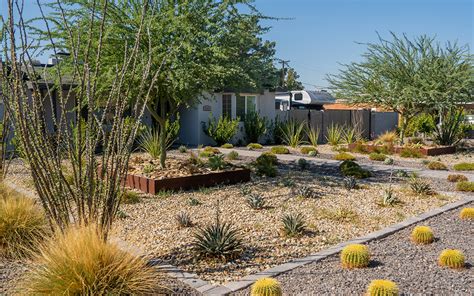 Xeriscaping conserves water for Arizona homeowners