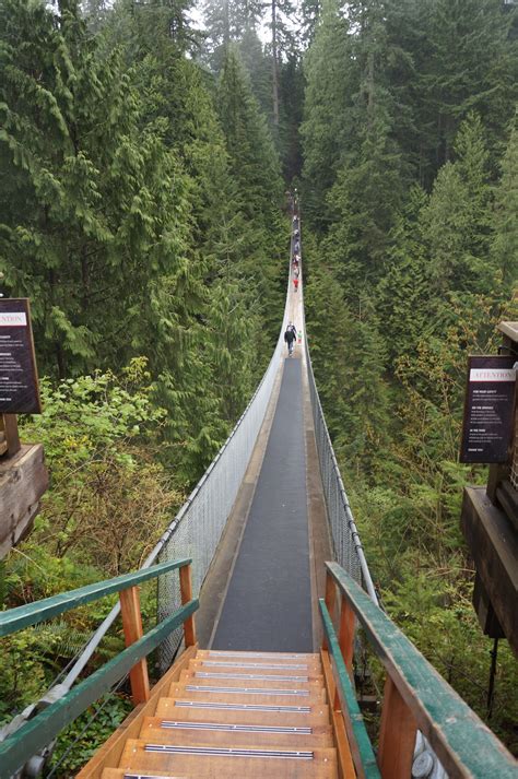 Out Last Night: Capilano Suspension Bridge and Cliff Walk, North ...