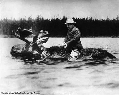 Theodore Roosevelt riding a moose in a pre-photoshop collage by the ...