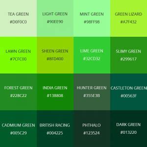 Meaning of the Color Green: Symbolism, Common Uses, & More