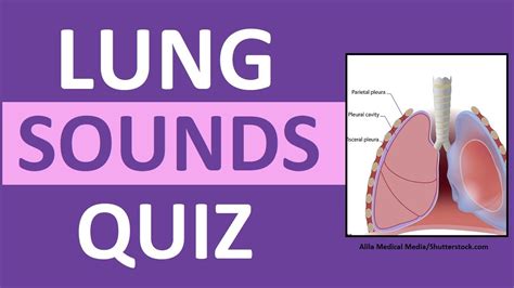 Lung Sounds Quiz NCLEX Review Crackles, Wheezes, Stridor, Pleural Friction Rub - YouTube