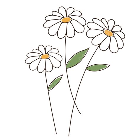 Arte De Línea De Flor De Margarita Blanca PNG , Flor Blanca, Arte ...