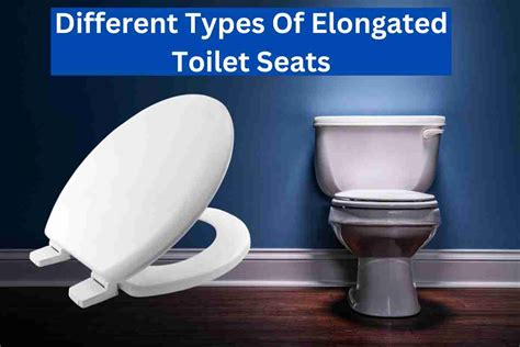 Different Types Of Elongated Toilet Seats(Name | Shapes)2025