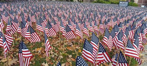 Honoring Our Veterans, by Annie Lane | Creators Syndicate