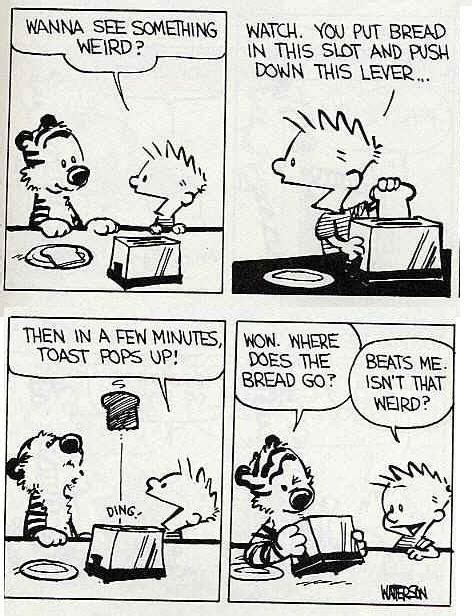 What's wrong with Hobbes and Bacon? : calvinandhobbes