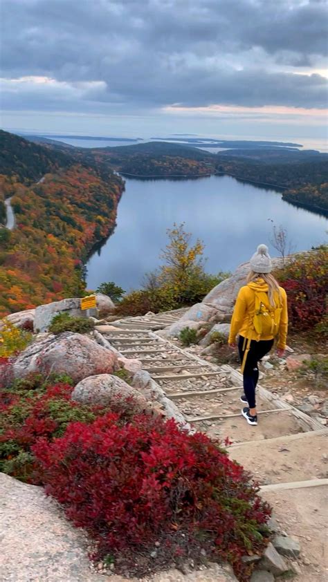 See the fall colors in acadia national park – Artofit