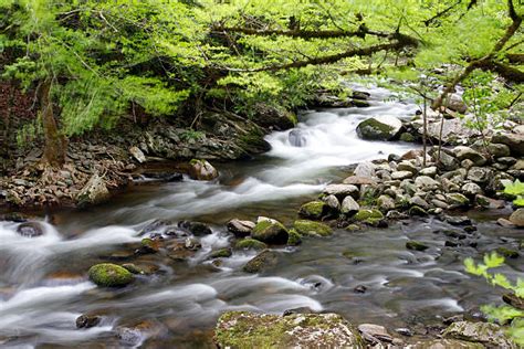 20+ Rainbow Falls Smoky Mountains Stock Photos, Pictures & Royalty-Free Images - iStock