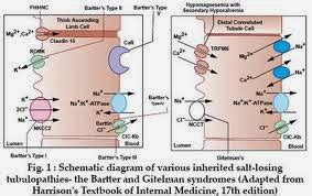 Medical Treatment Pictures-for Better Understanding: Gitelman Syndrome